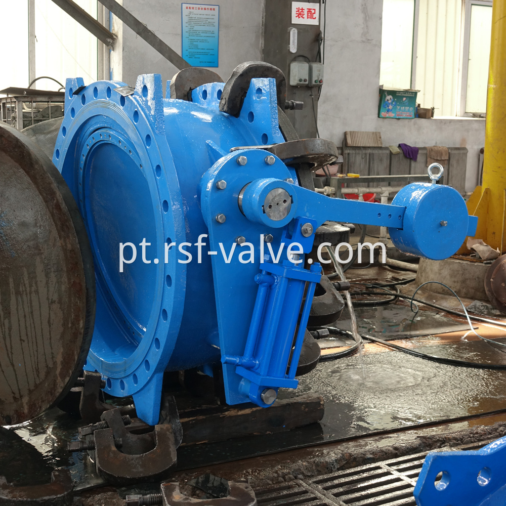 Butterfly Tilting Disc Check Valve 1